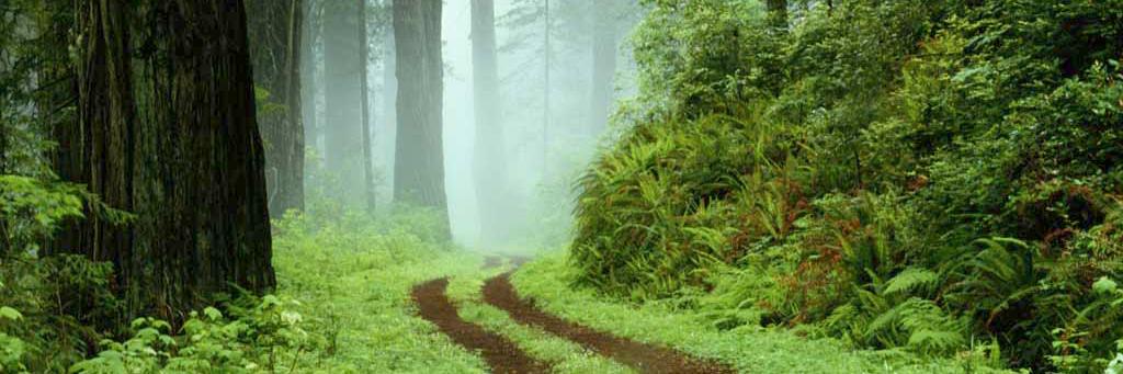 Kikooma Julius banner