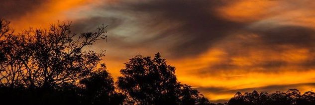 Sosirreal's profile banner image