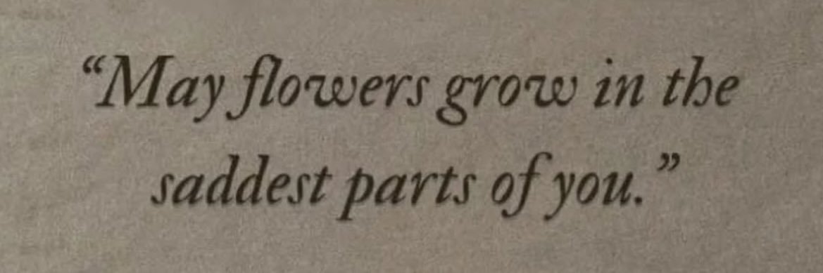 📚Queen Lizzy🎧 banner