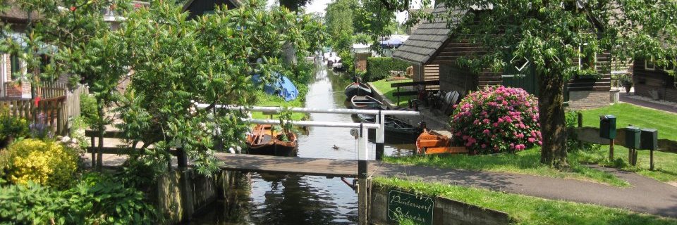 īngrīd stam banner