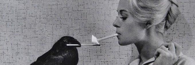 Daniela_ar_va's profile banner image