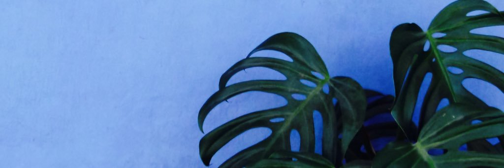 carlaasdn's profile banner image