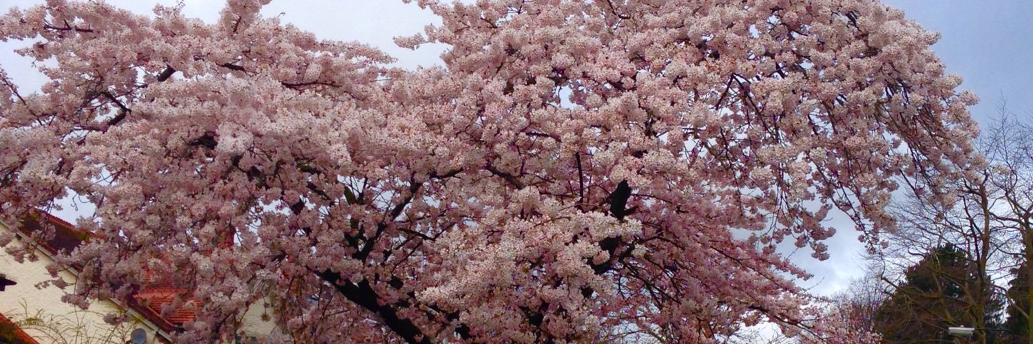 craig carroll banner