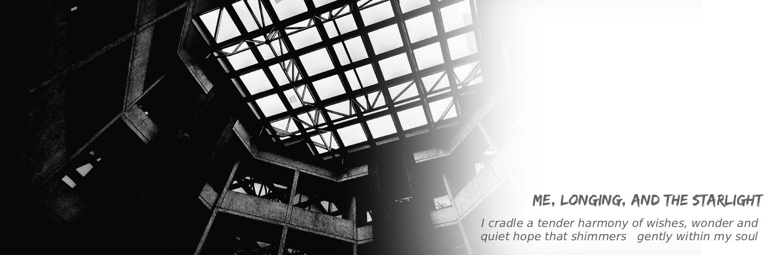 Fourtnier's profile banner image