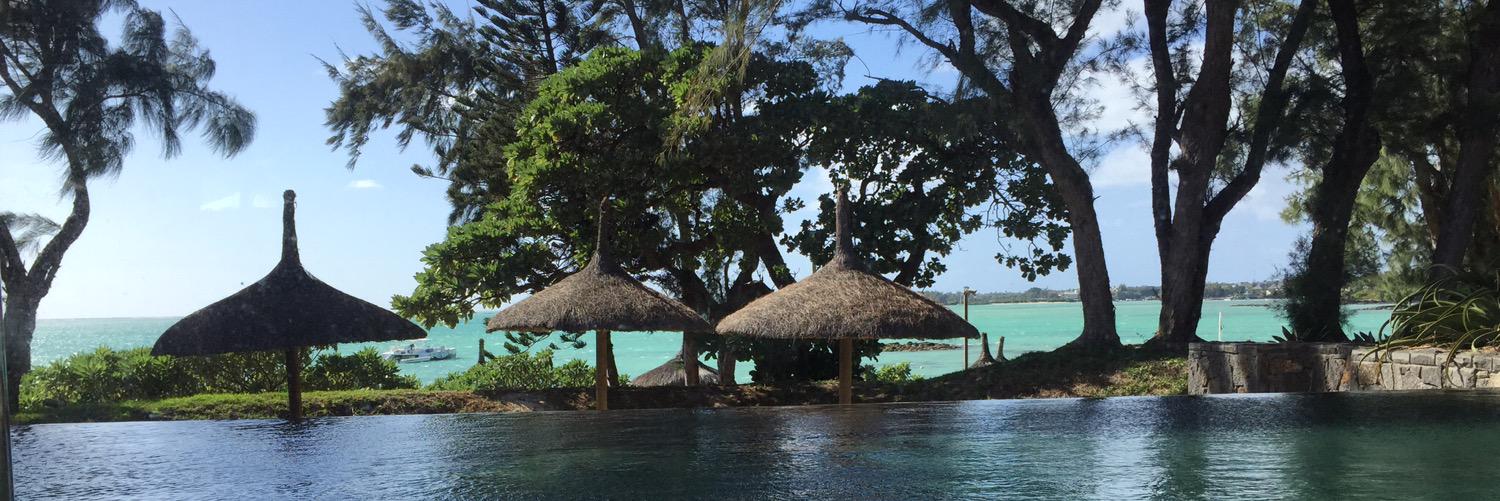 Christian Seedig banner