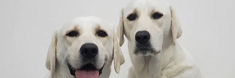 BlackJack5932's profile banner image