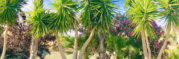 RealMarcuuss Profile Banner