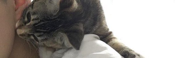 penchp Profile Banner