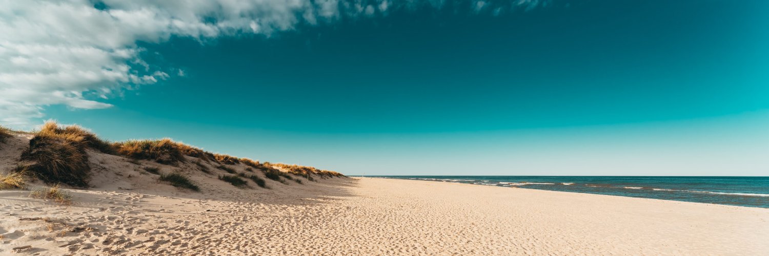 thingwiththings banner