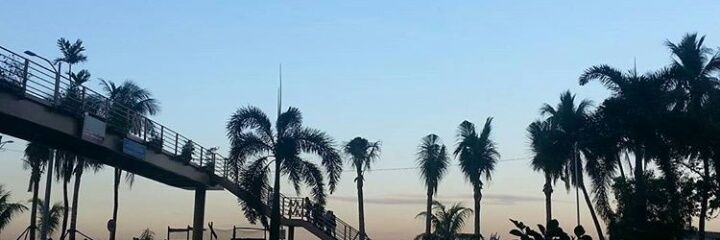angela_acode's profile banner image