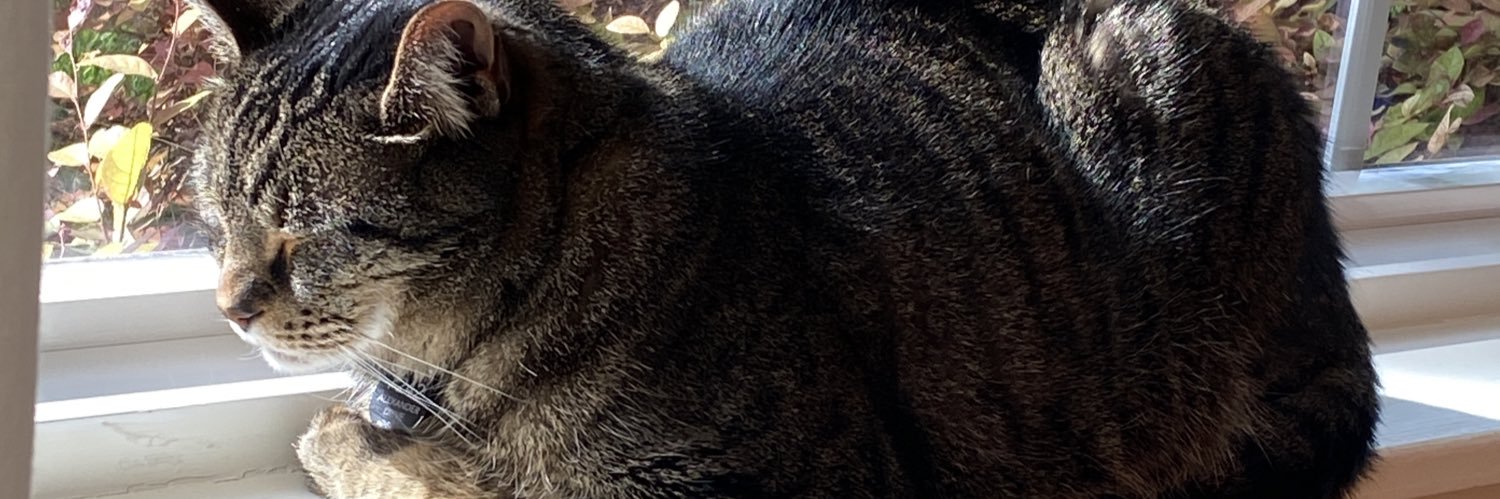 OskiTX's profile banner image