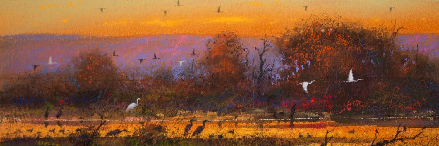 Tom Perkinson banner