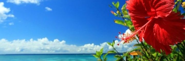 777mrst's profile banner image