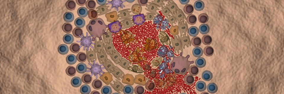 viclopeza's profile banner image