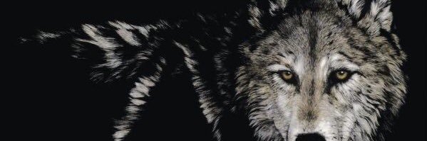 BulutGol's profile banner image