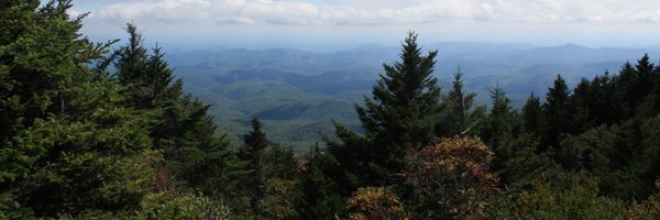 AlisonMShay Profile Banner