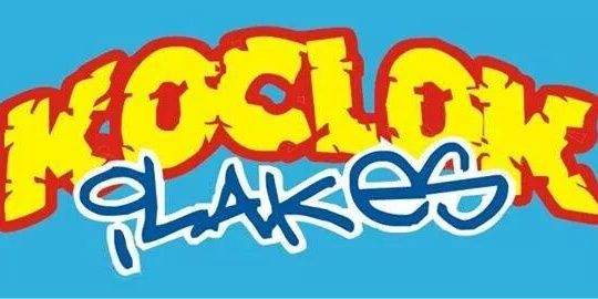 Rido Oktovyan banner