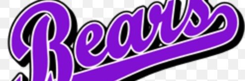 sevierbears's profile banner image