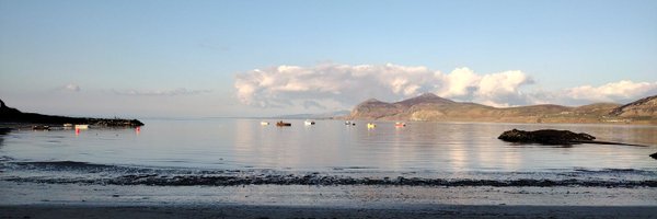 Museepunk Profile Banner