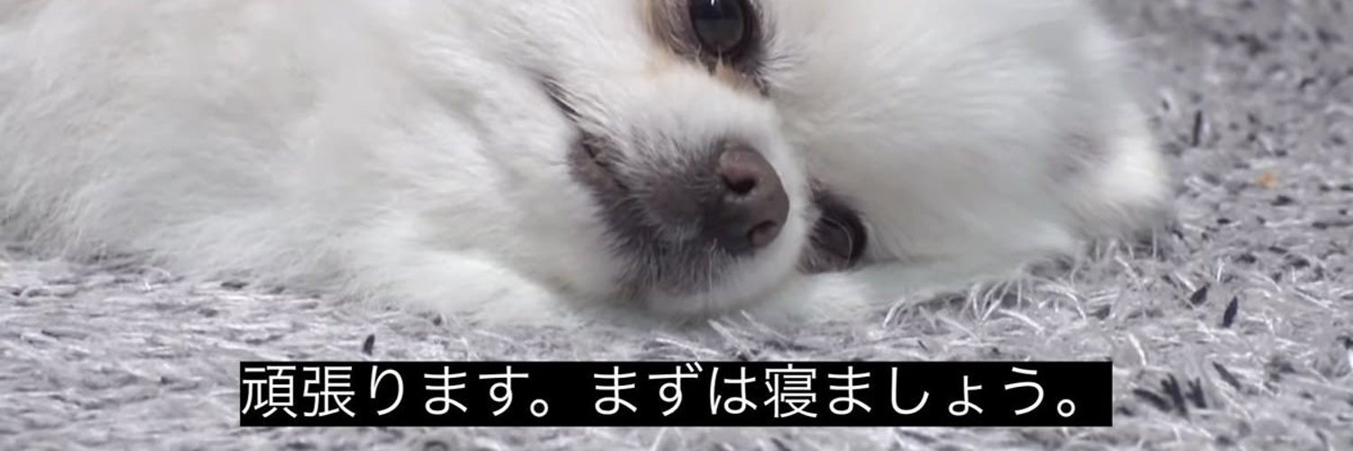ryouya_u's profile banner image