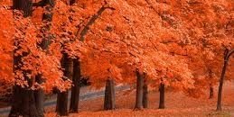jeh_pavan's profile banner image