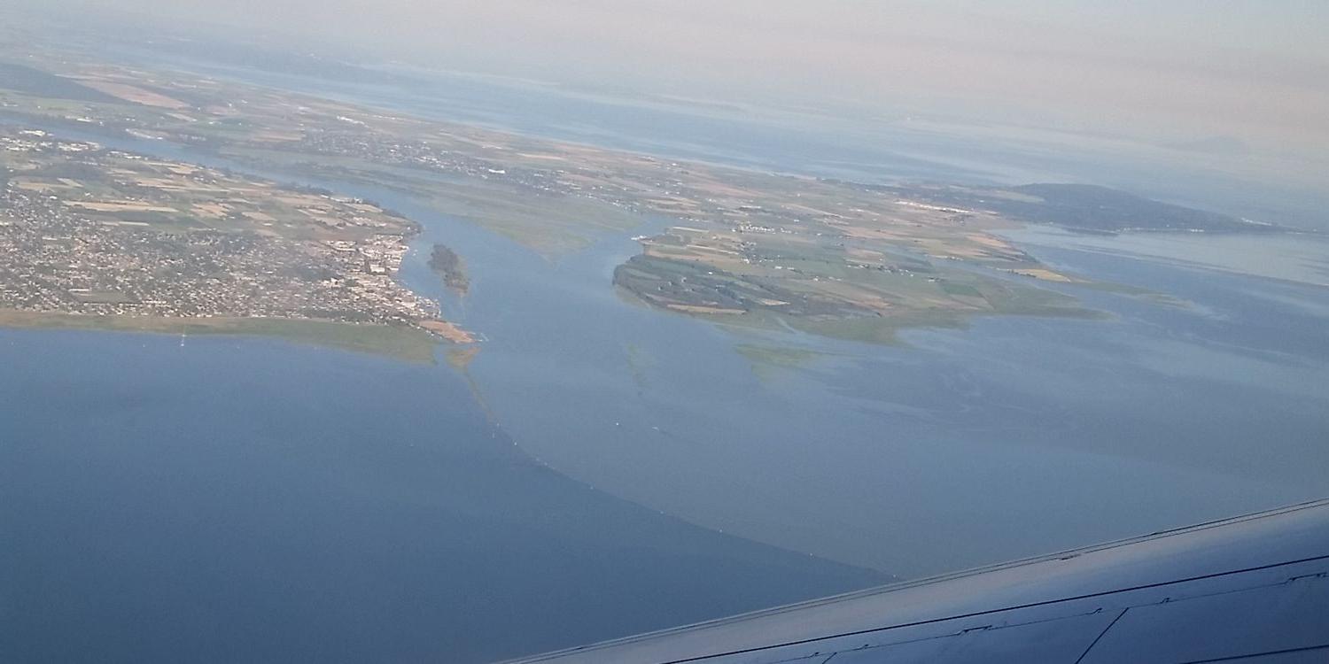 Jonathan Jüri Buchanan banner