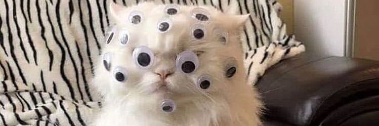 Gina de Tera Àlvarez banner