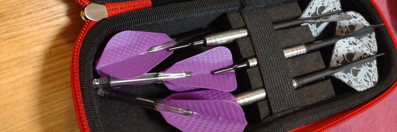 それでもと言い続けたかったﾚｲｼｱ banner