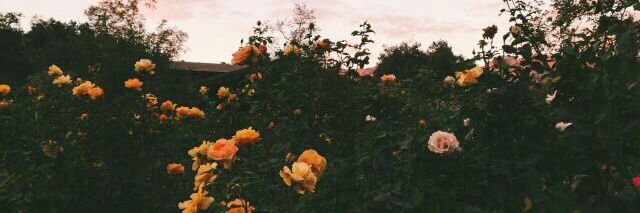 `❥ GGBe banner