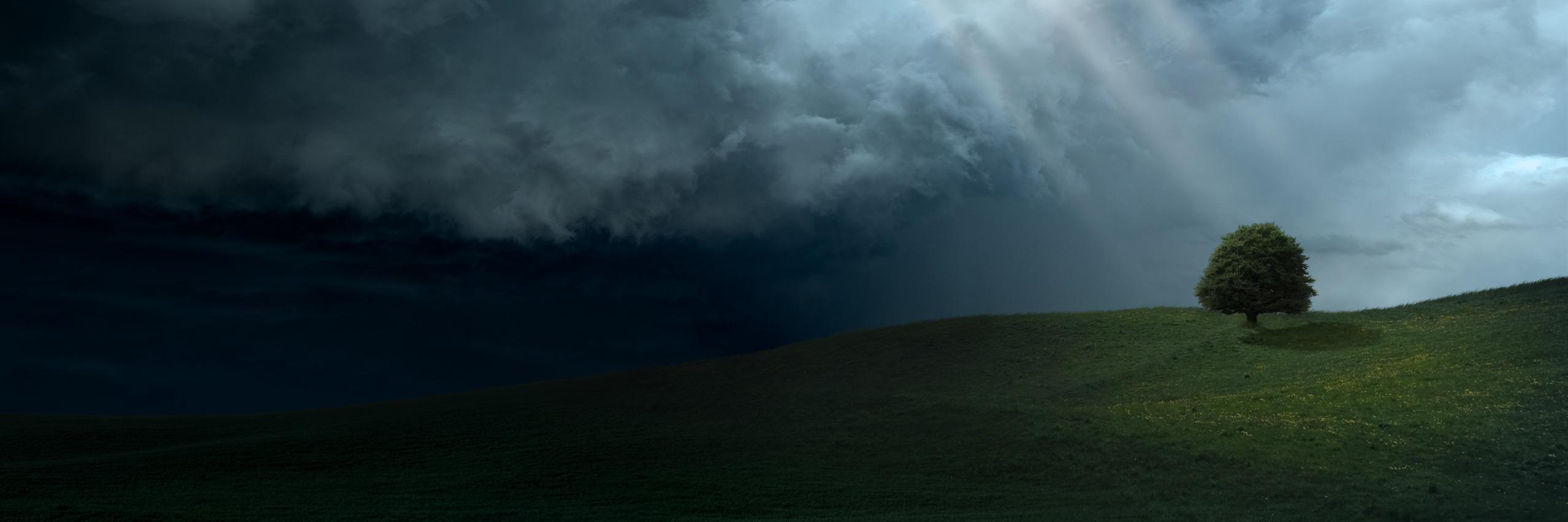 npanau's profile banner image