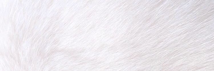 AnaaaTaaan's profile banner image