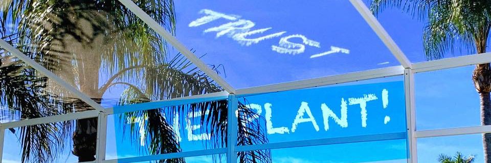 OneSpecialPlant's profile banner image