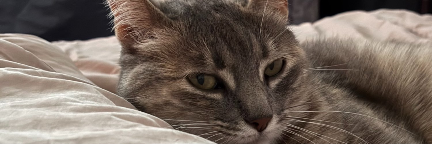 GiuliZechin's profile banner image