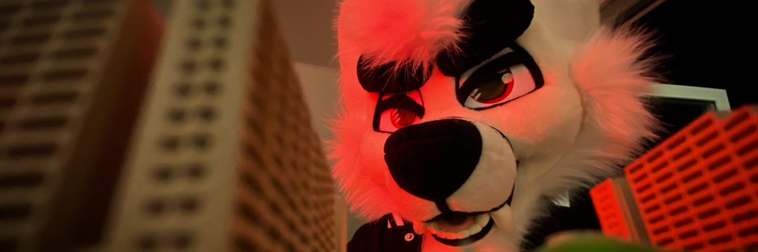 Switch 🐾 banner