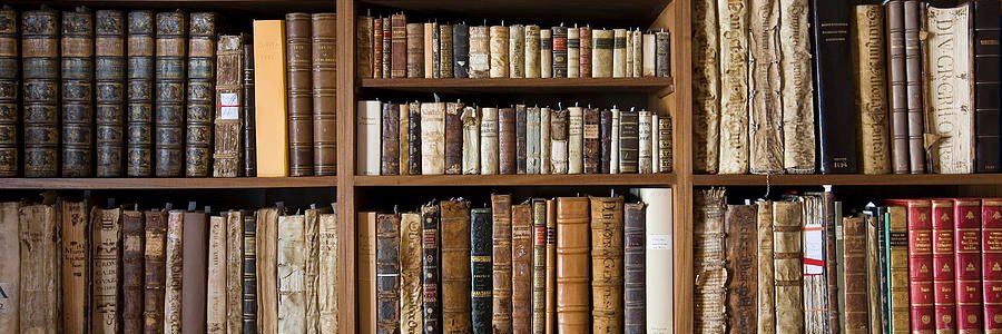 BookwormBozha's profile banner image
