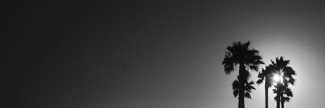 Dean Stattmann banner