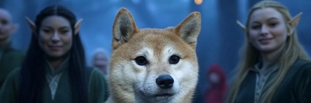 inuinu_stock's profile banner image