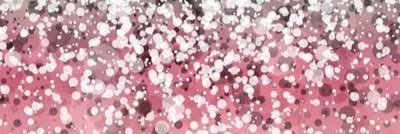 paolanorach's profile banner image