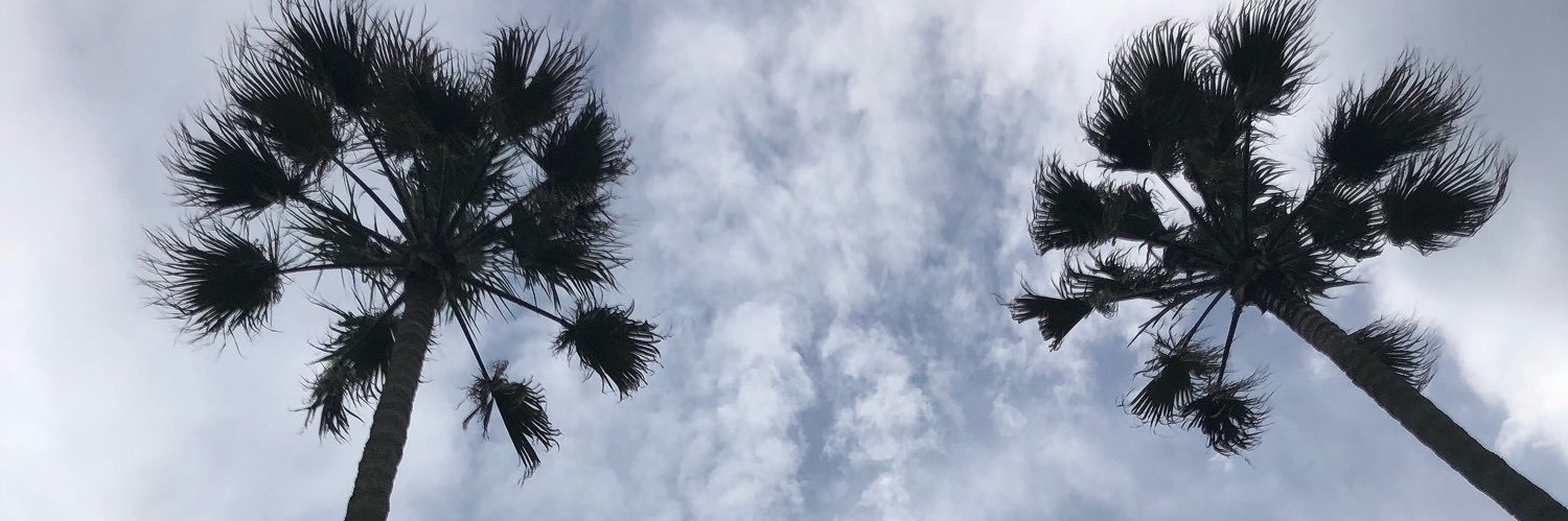 alo__8's profile banner image