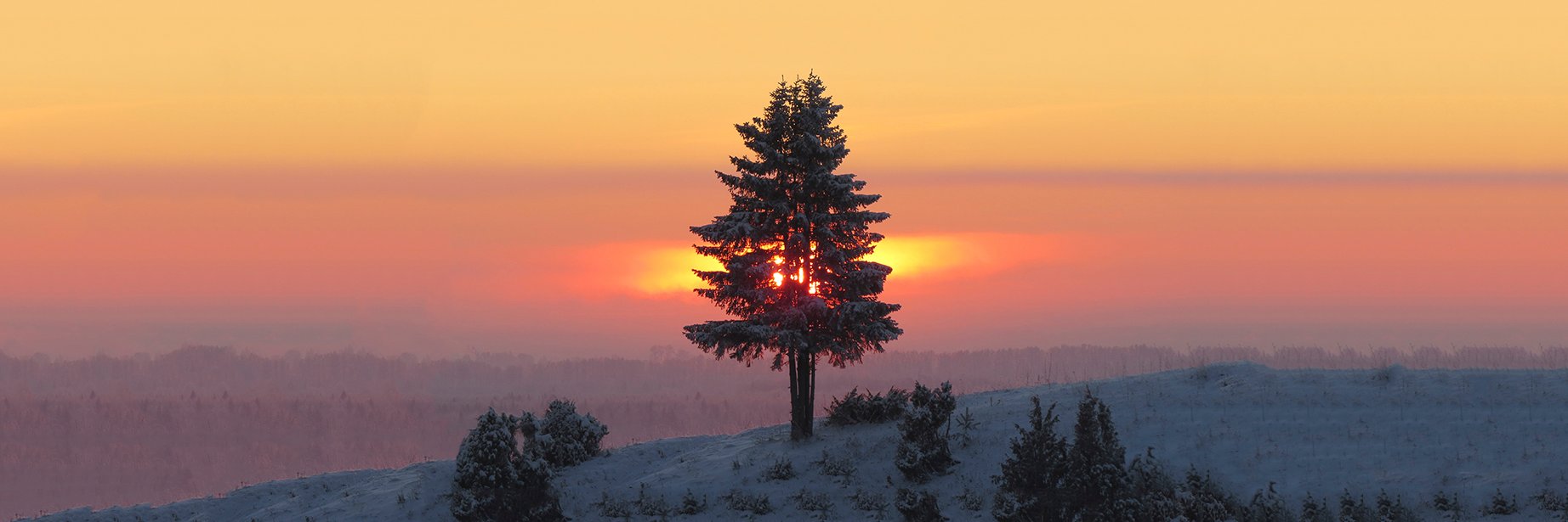 brechalov's profile banner image