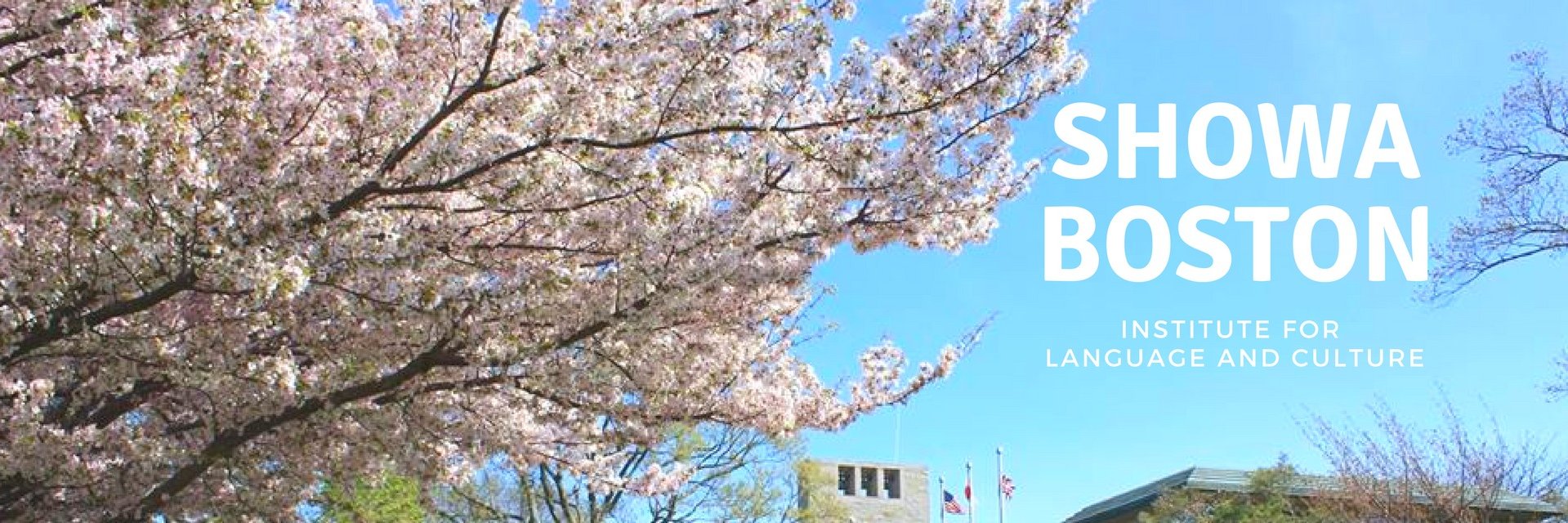 ShowaBoston's profile banner image