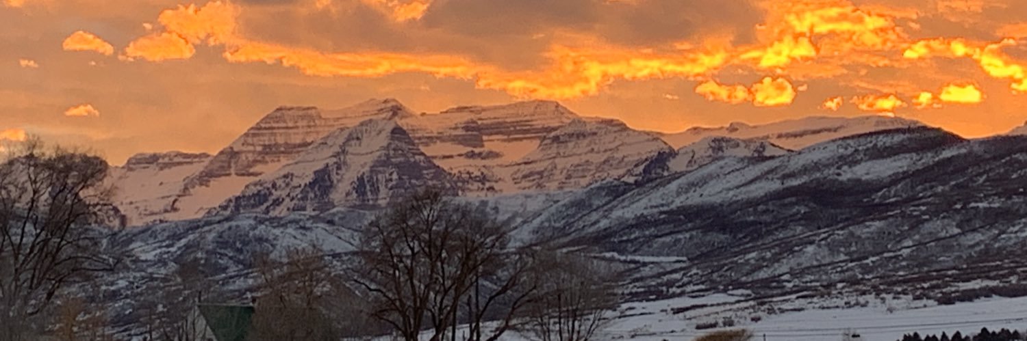 Amanda Porter banner