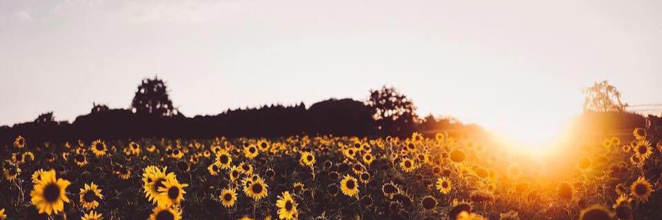 chasitygarlitz's profile banner image