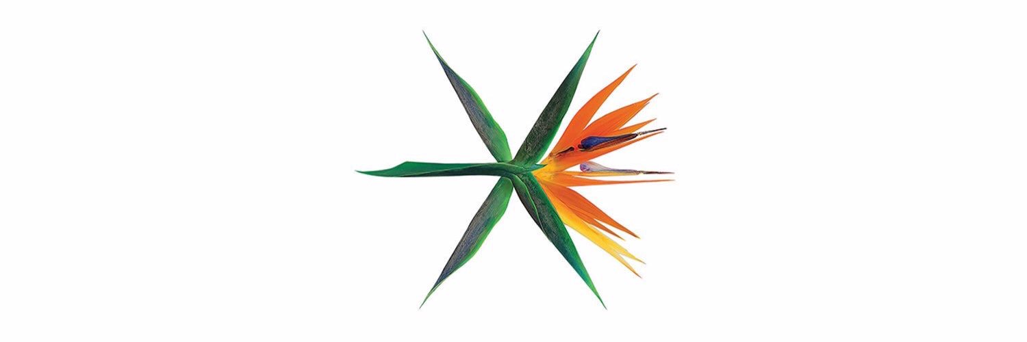 mrkimbear's profile banner image