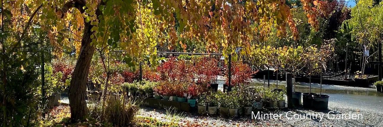 Gardens_BC's profile banner image