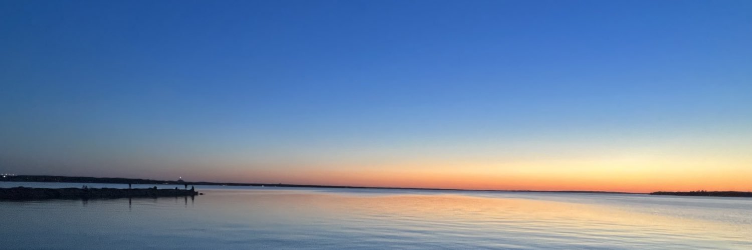 Sadeck YN banner
