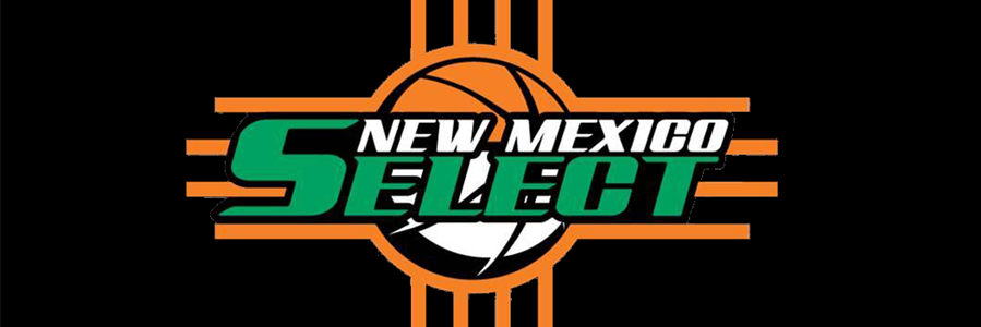 NM Select Bball banner