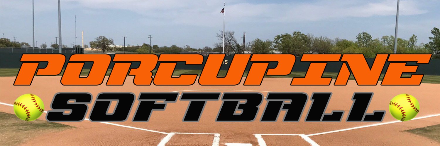 Lady Pine Softball banner