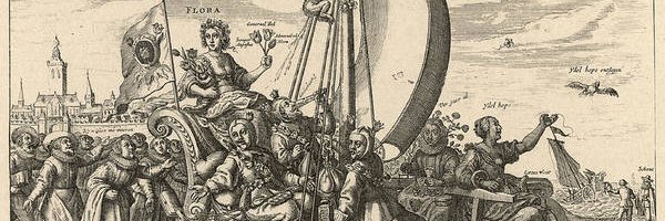 kenarcano's profile banner image