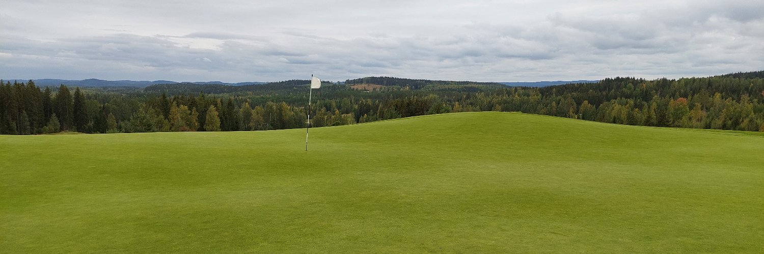 Jari Lämsä banner
